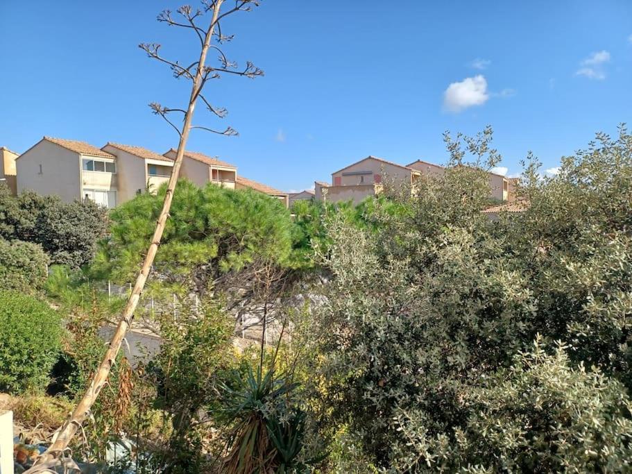 Plain-Pied, Terrasse, Piscine, Pleine Vue Mer, Plage A 6' A Pied, Parking, Wifi フルーリー エクステリア 写真
